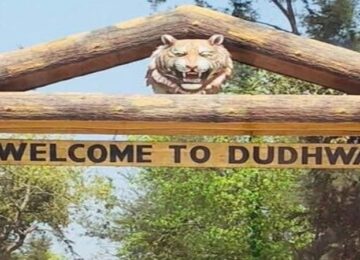 Dudhwa Wildlife Sanctuary
