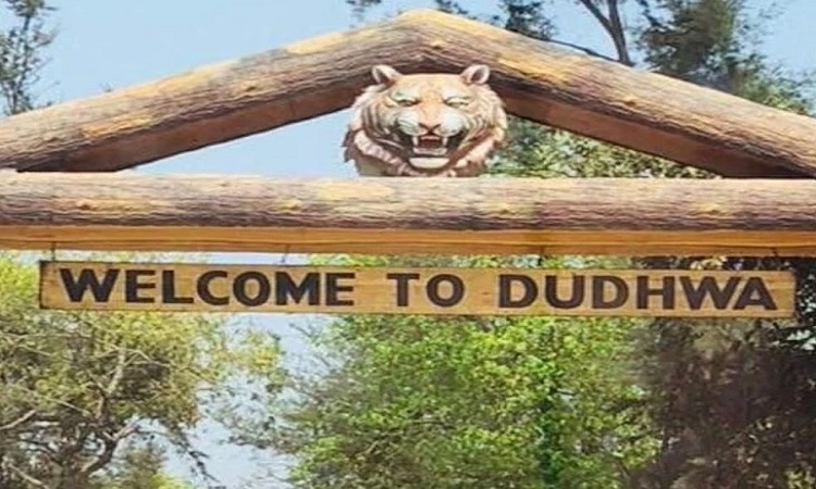 Dudhwa festival