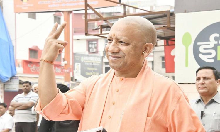 yogi
