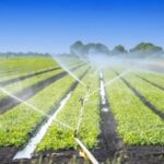 Agriculture