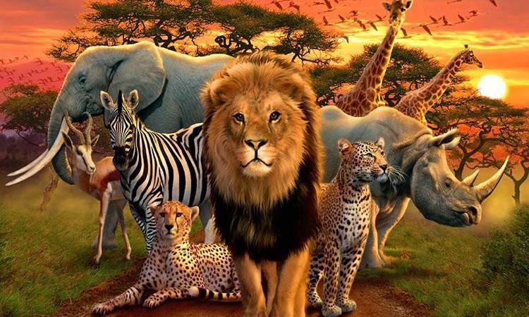 Forest and Wildlife Protection