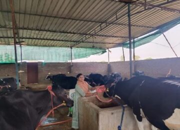 Kashi Milk Producer Company