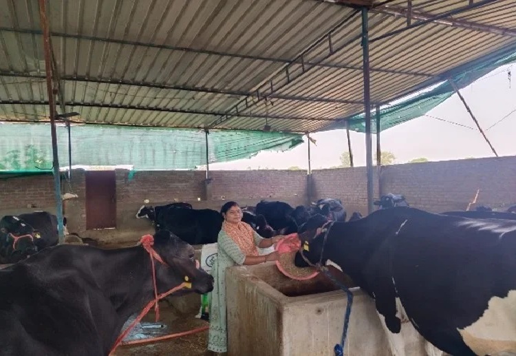 Kashi Milk Producer Company