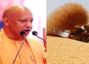Yogi's instructions- wheat should not be kept in the open