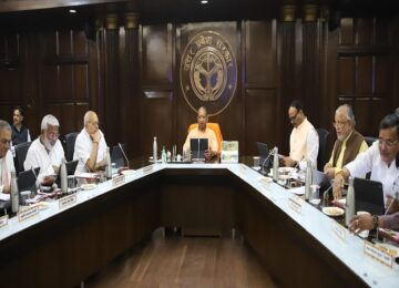 Yogi Cabinet