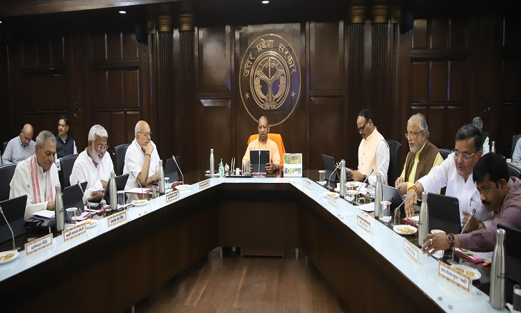 Yogi Cabinet