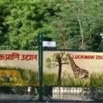 Zoo