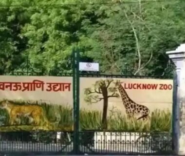 Zoo
