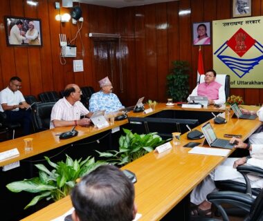 dhami cabinet