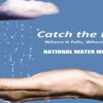 Catch the Rain
