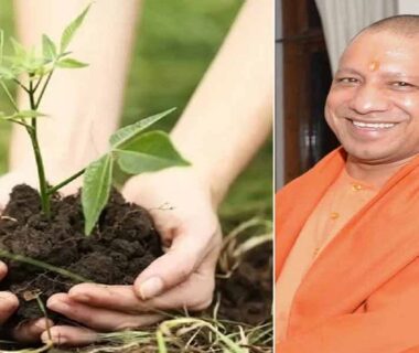 CM Yogi