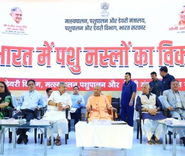 CM Yogi