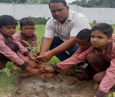 Plantation Campaign 2025