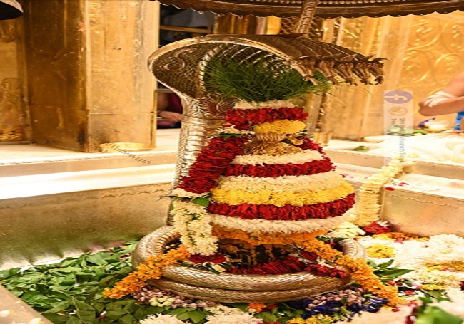 baba vishwanath
