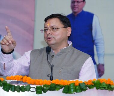 cm dhami