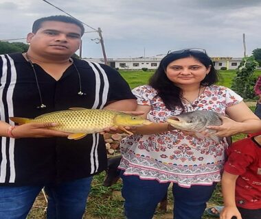fisheries