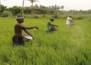Fertilizer