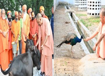 CM Yogi pampered Bhavani-Bholu, fed jaggery to Punj