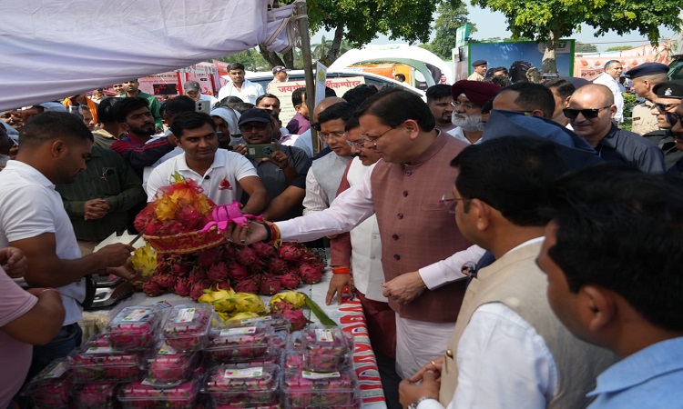 CM Dhami