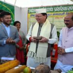 CM Dhami inaugurated projects worth 85.14 crore rupees.