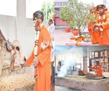 CM Yogi did cow service by worshipping cows on Vijayadashami.