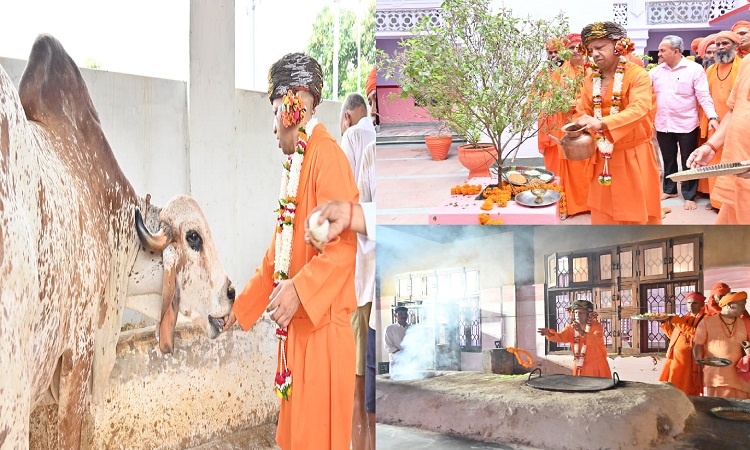 CM Yogi did cow service by worshipping cows on Vijayadashami.