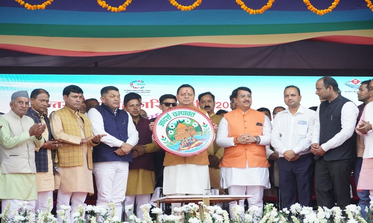 CM Dhami released the logo of 'Adarsh ​​Champawat'