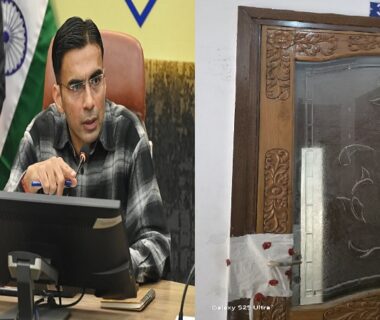 The revenue team took action on the instructions of DM Savin Bansal.