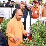 Innovation is increasing farmers' prosperity