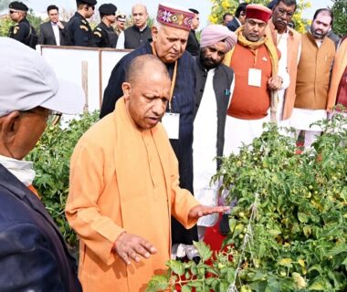 Innovation is increasing farmers' prosperity