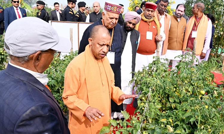 Innovation is increasing farmers' prosperity