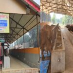 Nandini Krishak Samriddhi Yojana