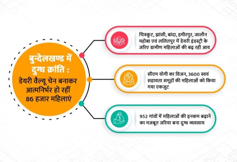dairy value chain