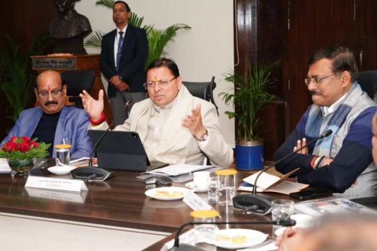 CM Dhami