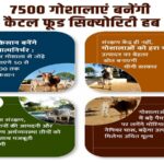 7500 cow shelters to become cattle food security hubs