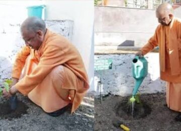 CM Yogi planted a tree at Guru Gorakhnath College.
