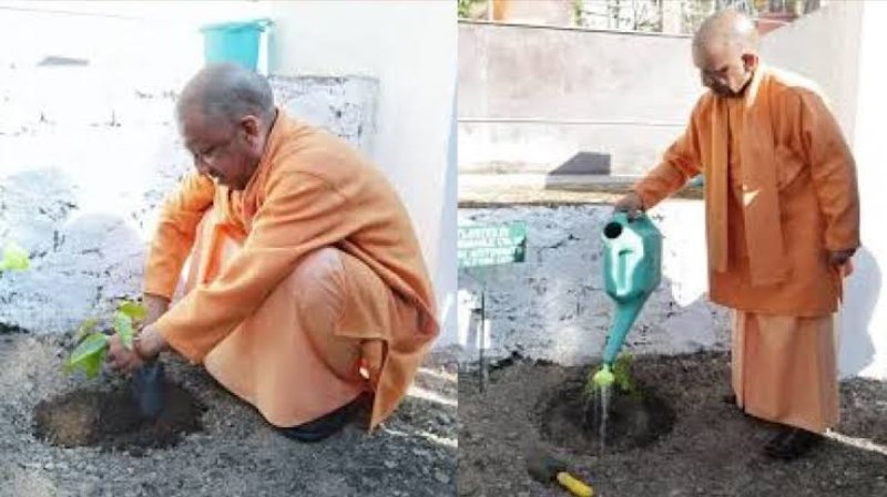 CM Yogi planted a tree at Guru Gorakhnath College.