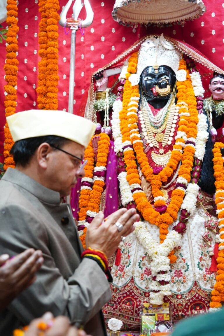 CM Dhami
