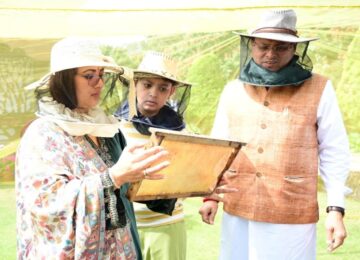 CM Dhami gave instructions to develop '3-B Garden'