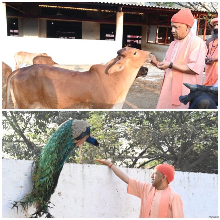 CM Yogi