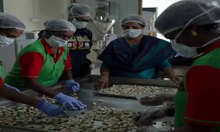 Over 9,000 women-run startups are creating a new identity in UP