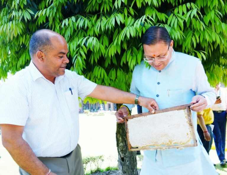 CM Dhami