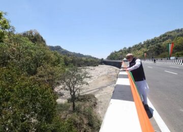 Elevated Wildlife Corridor