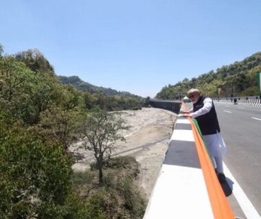 Elevated Wildlife Corridor