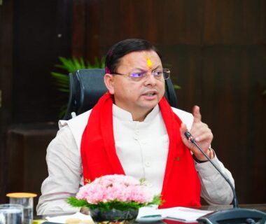 cm dhami