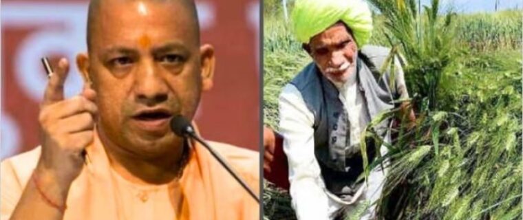 CM Yogi