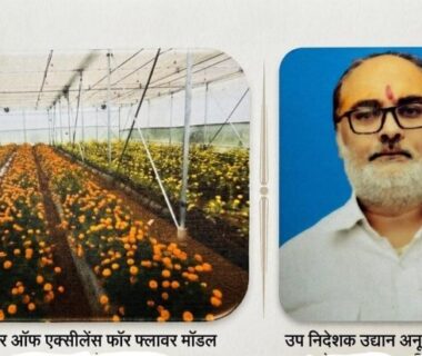 'Centre of Excellence for Flowers