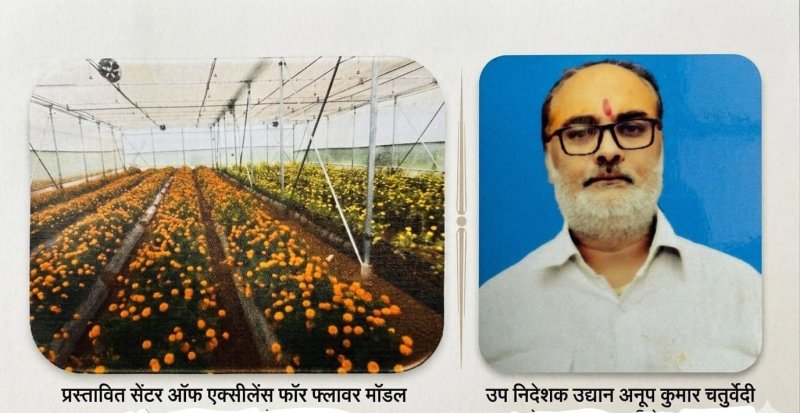 'Centre of Excellence for Flowers