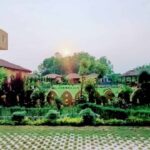 Homestay