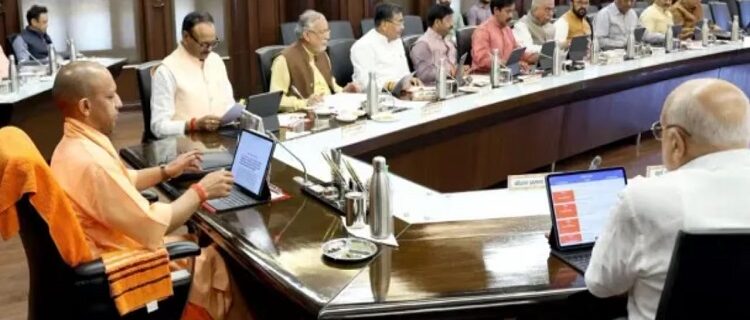 Yogi Cabinet